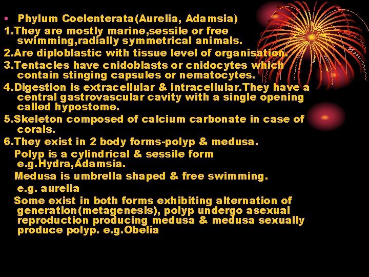  • Phylum Coelenterata(Aurelia, Adamsia) 1. They are mostly marine, sessile or free swimming,