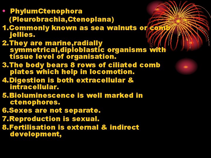  • Phylum. Ctenophora (Pleurobrachia, Ctenoplana) 1. Commonly known as sea walnuts or comb