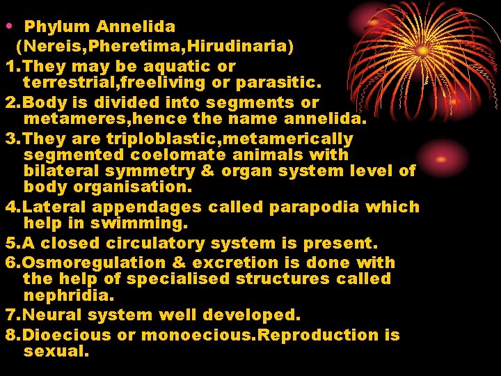  • Phylum Annelida (Nereis, Pheretima, Hirudinaria) 1. They may be aquatic or terrestrial,