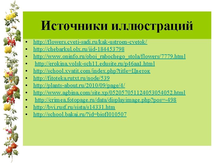 Источники иллюстраций • • • http: //flowers. cveti-sadi. ru/kak-ustroen-cvetok/ http: //chebarkul. olx. ru/iid-184453798 http: