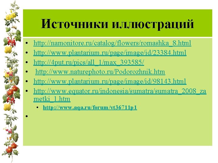 Источники иллюстраций • • • http: //namonitore. ru/catalog/flowers/romashka_8. html http: //www. plantarium. ru/page/image/id/23384. html