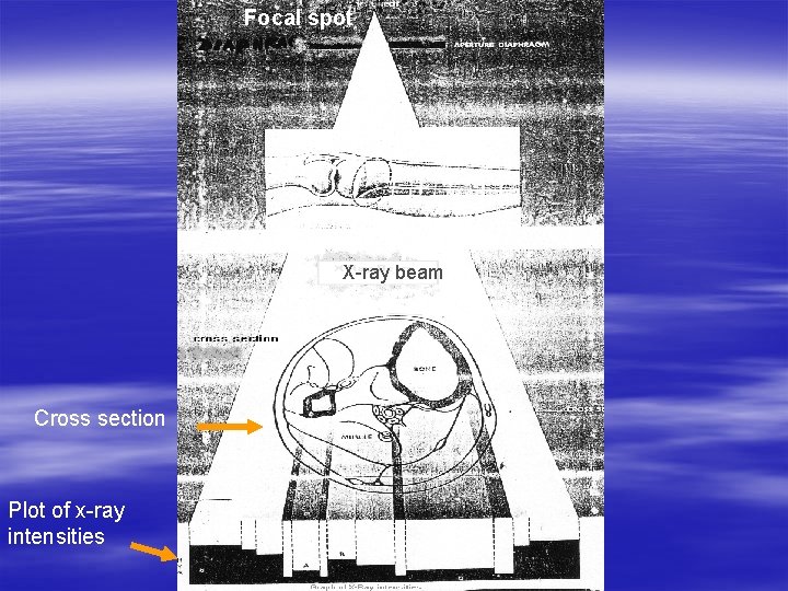Focal spot X-ray beam Cross section Plot of x-ray intensities 