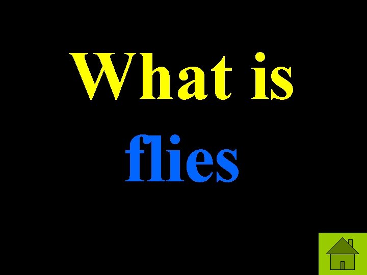 What is flies 