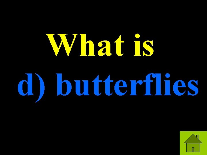 What is d) butterflies 