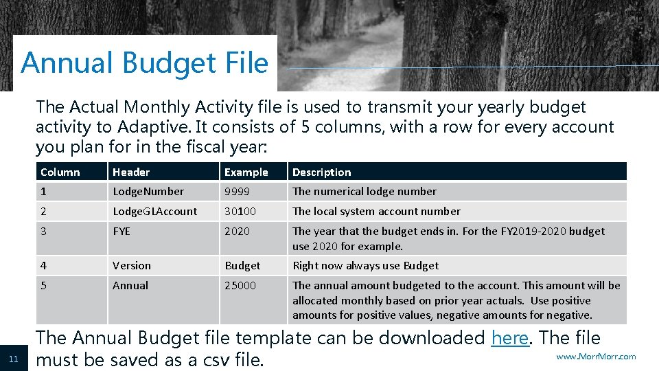 Annual Budget File The Actual Monthly Activity file is used to transmit your yearly