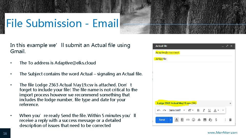 File Submission - Email In this example we’ll submit an Actual file using Gmail.