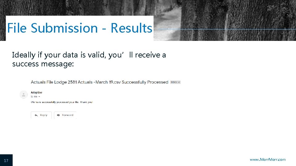 File Submission - Results Ideally if your data is valid, you’ll receive a success