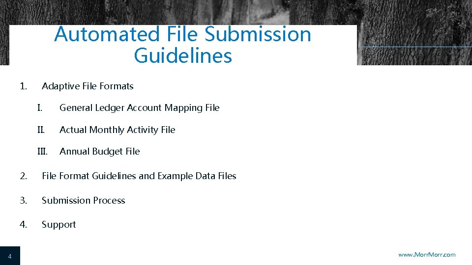 Automated File Submission Guidelines 1. 4 Adaptive File Formats I. General Ledger Account Mapping