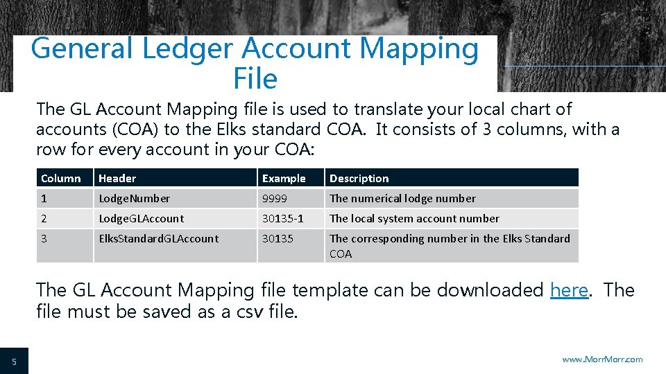 General Ledger Account Mapping File The GL Account Mapping file is used to translate