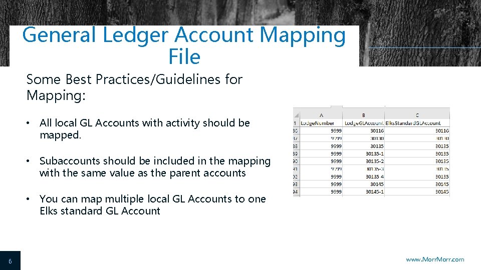 General Ledger Account Mapping File Some Best Practices/Guidelines for Mapping: • All local GL