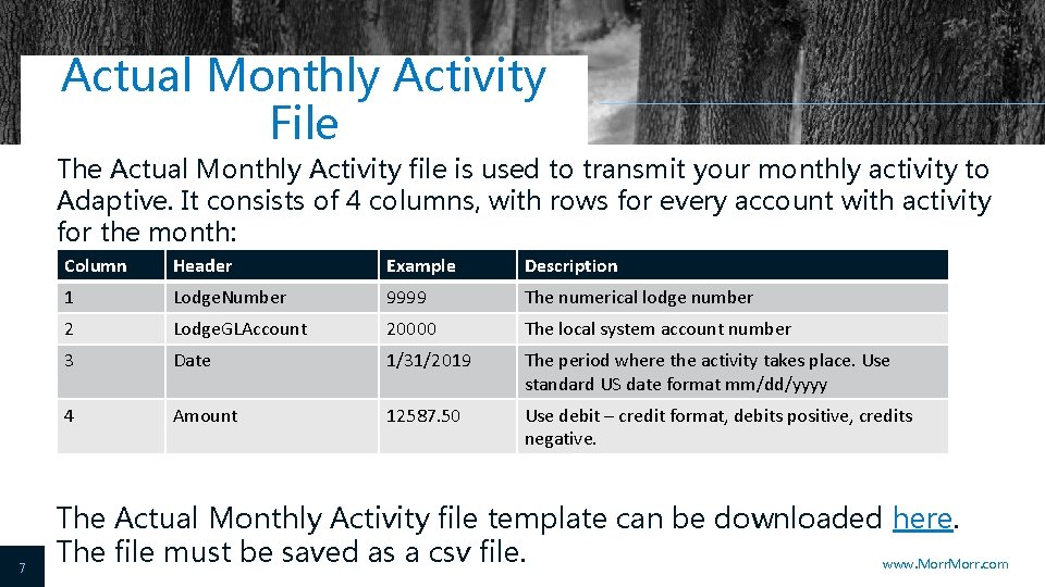 Actual Monthly Activity File The Actual Monthly Activity file is used to transmit your