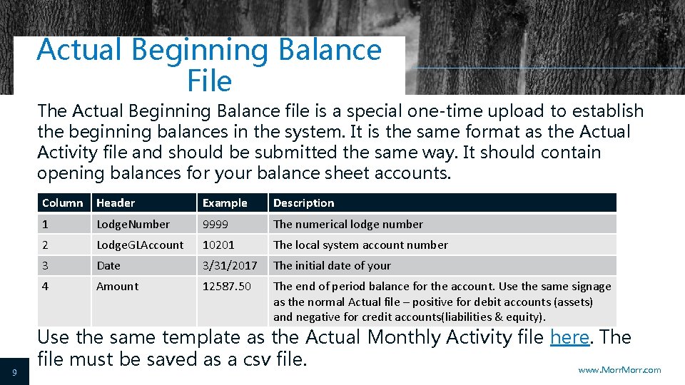 Actual Beginning Balance File The Actual Beginning Balance file is a special one-time upload