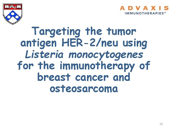 Targeting the tumor antigen HER-2/neu using Listeria monocytogenes for the immunotherapy of breast cancer