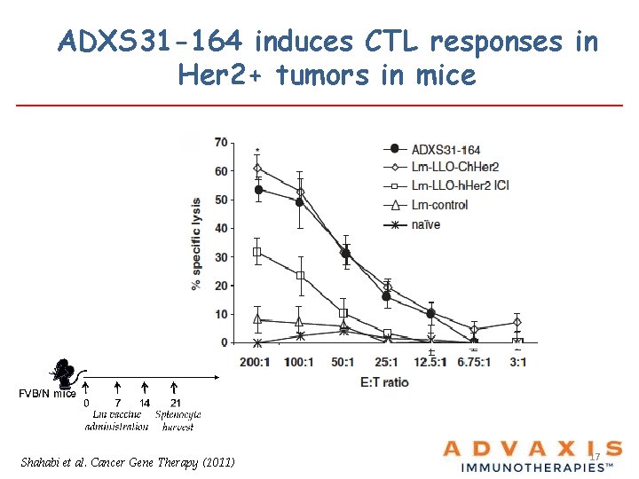 ADXS 31 -164 induces CTL responses in Her 2+ tumors in mice Shahabi et