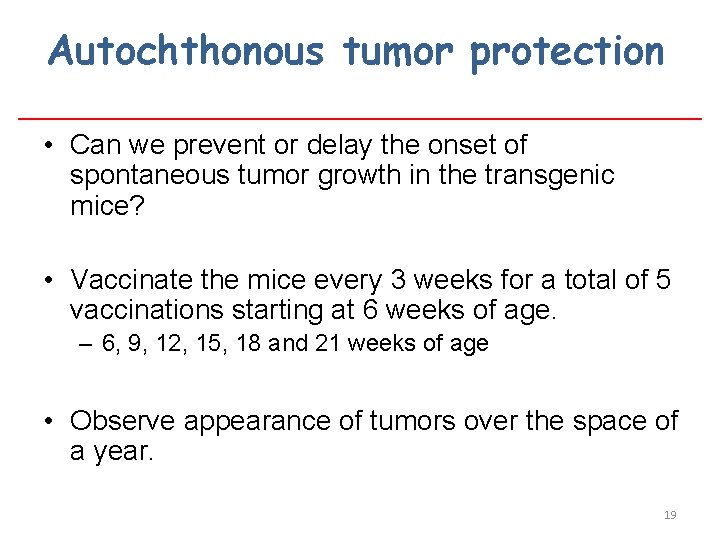 Autochthonous tumor protection • Can we prevent or delay the onset of spontaneous tumor