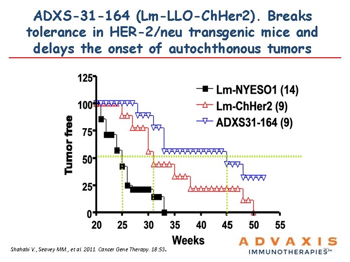 ADXS-31 -164 (Lm-LLO-Ch. Her 2). Breaks tolerance in HER-2/neu transgenic mice and delays the