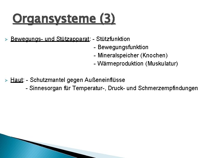 Organsysteme (3) Ø Bewegungs- und Stützapparat: - Stützfunktion - Bewegungsfunktion - Mineralspeicher (Knochen) -