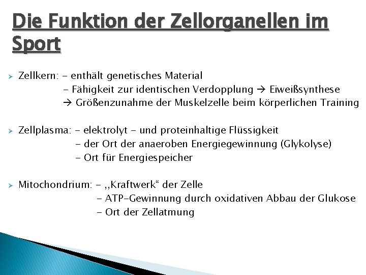 Die Funktion der Zellorganellen im Sport Ø Ø Ø Zellkern: - enthält genetisches Material