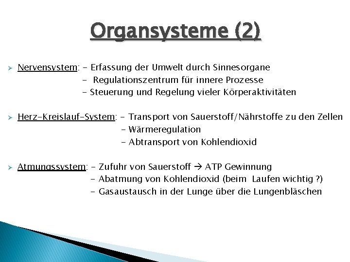 Organsysteme (2) Ø Ø Ø Nervensystem: - Erfassung der Umwelt durch Sinnesorgane - Regulationszentrum