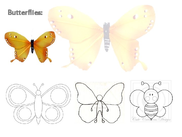 Butterflies: 