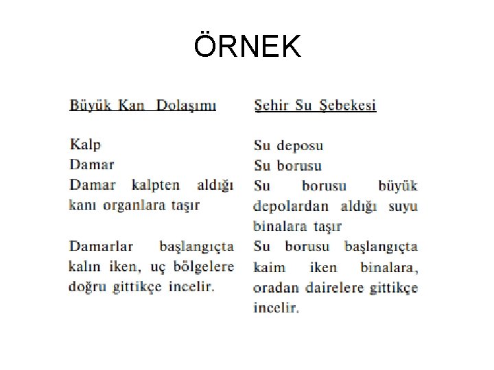 ÖRNEK 