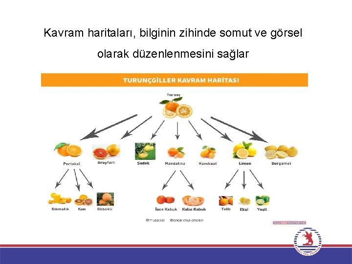 Kavram haritaları, bilginin zihinde somut ve görsel olarak düzenlenmesini sağlar 