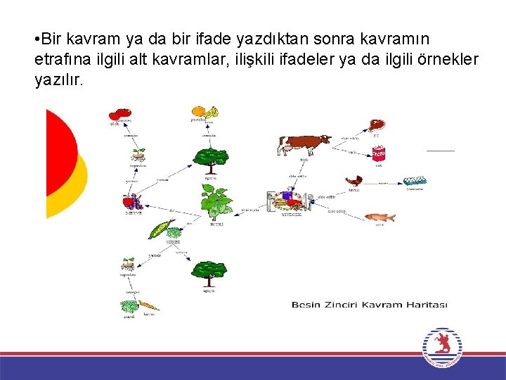  • Bir kavram ya da bir ifade yazdıktan sonra kavramın etrafına ilgili alt