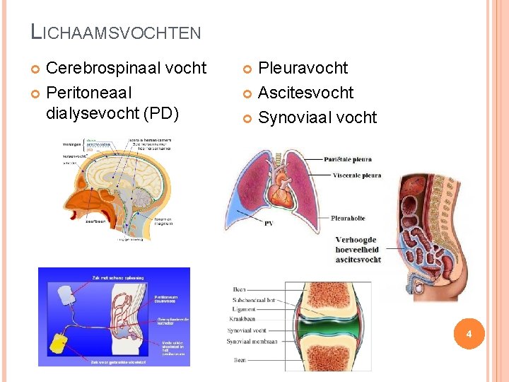 LICHAAMSVOCHTEN Cerebrospinaal vocht Peritoneaal dialysevocht (PD) Pleuravocht Ascitesvocht Synoviaal vocht 4 