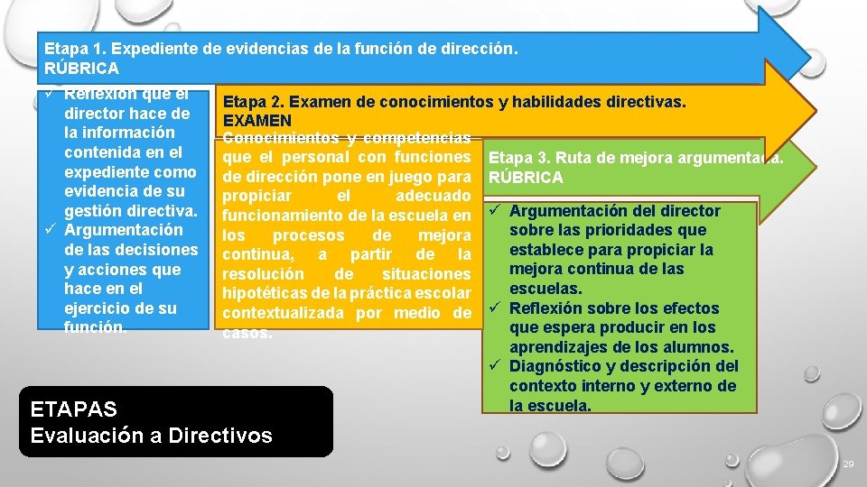 Etapa 1. Expediente de evidencias de la función de dirección. RÚBRICA ü Reflexión que