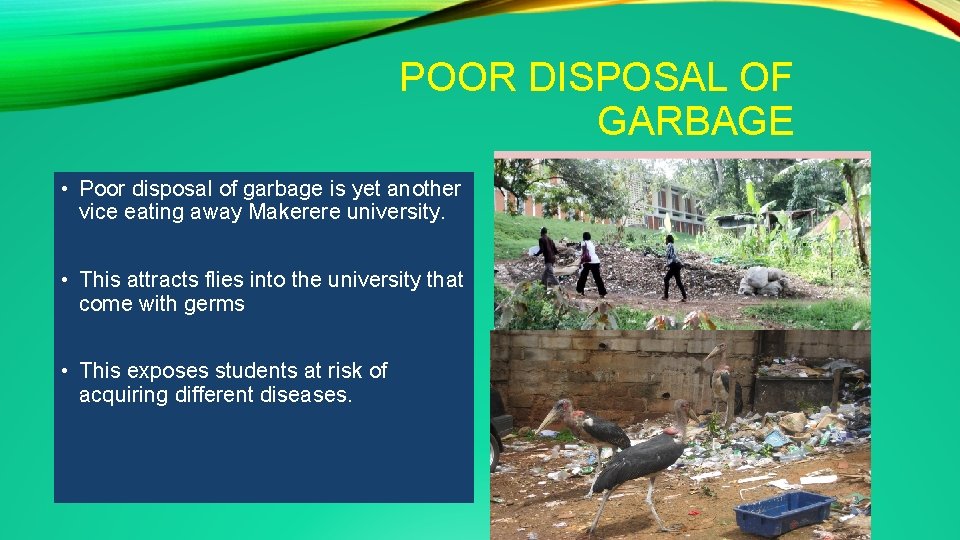 POOR DISPOSAL OF GARBAGE • Poor disposal of garbage is yet another vice eating