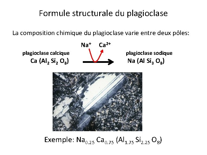 Formule structurale du plagioclase La composition chimique du plagioclase varie entre deux pôles: Na+ Formule structurale du plagioclase La composition chimique du plagioclase varie entre deux pôles: Na+