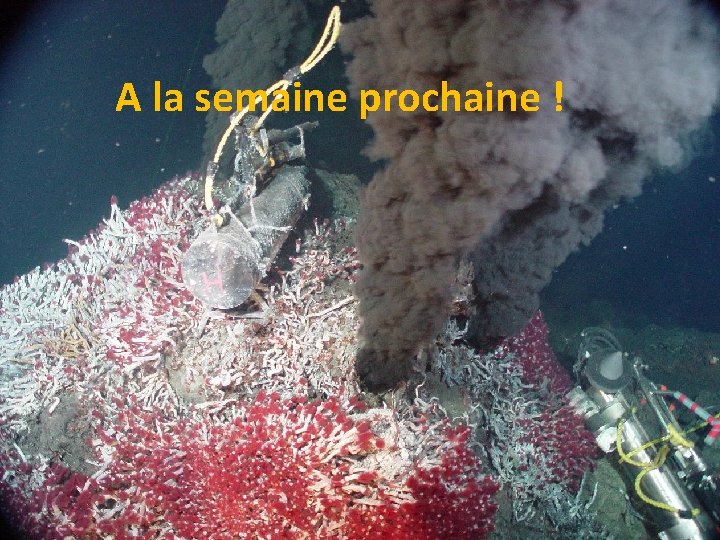 A la semaine prochaine ! A la semaine prochaine !