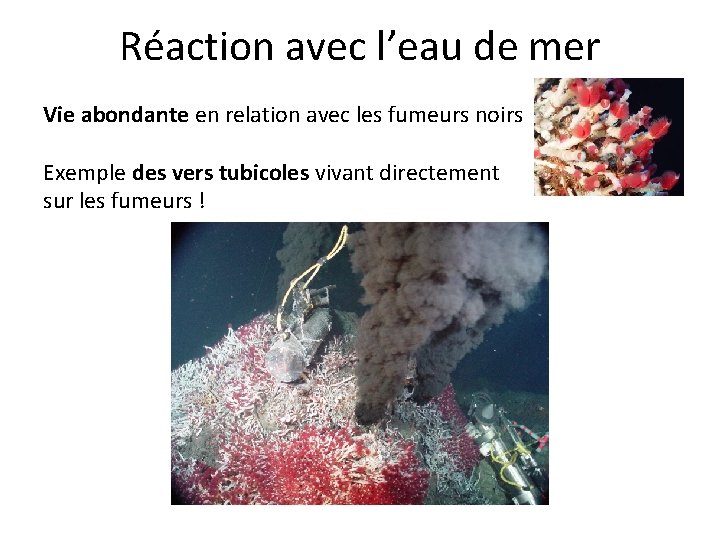 Réaction avec l’eau de mer Vie abondante en relation avec les fumeurs noirs Exemple Réaction avec l’eau de mer Vie abondante en relation avec les fumeurs noirs Exemple