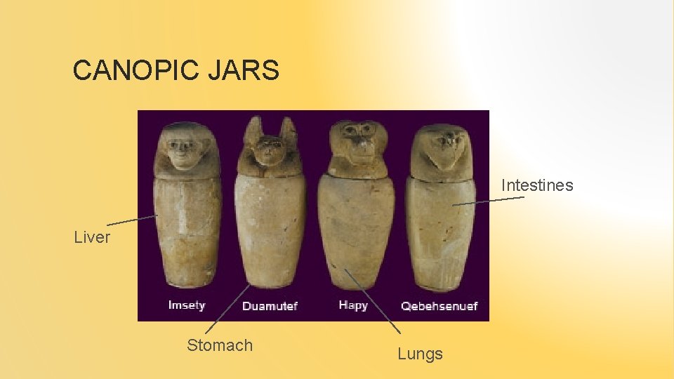 CANOPIC JARS Intestines Liver Stomach Lungs 