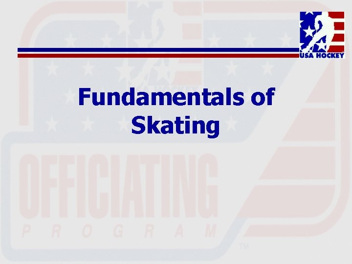 Fundamentals of Skating 