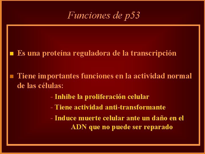 Funciones de p 53 n Es una proteína reguladora de la transcripción n Tiene