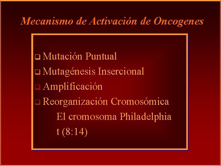 Mecanismo de Activación de Oncogenes q Mutación Puntual q Mutagénesis Insercional q Amplificación q