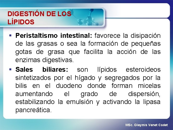 DIGESTIÓN DE LOS LÍPIDOS § Peristaltismo intestinal: favorece la disipación de las grasas o