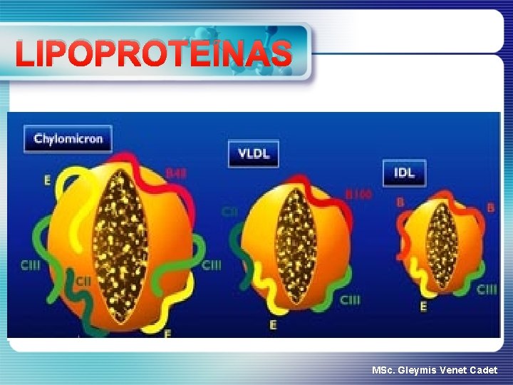 LIPOPROTEÍNAS MSc. Gleymis Venet Cadet 