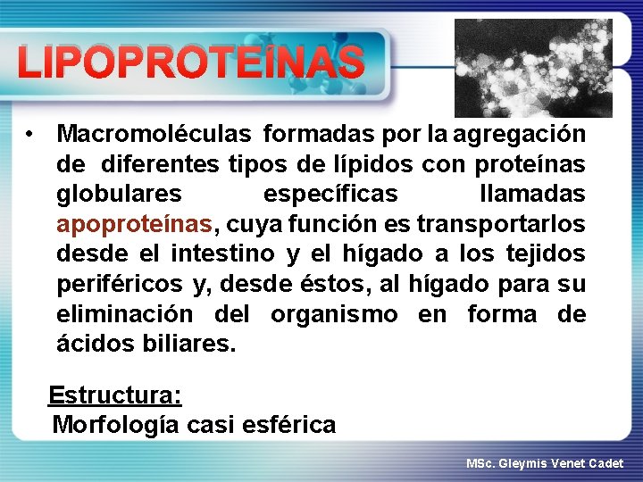 LIPOPROTEÍNAS • Macromoléculas formadas por la agregación de diferentes tipos de lípidos con proteínas