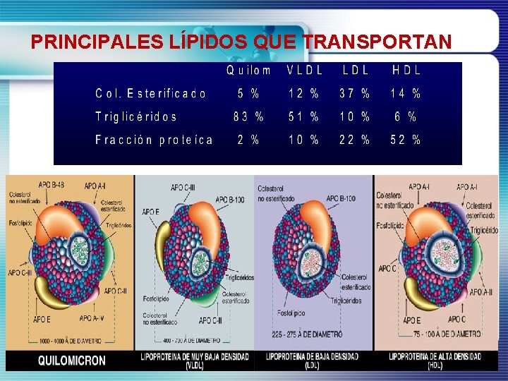 PRINCIPALES LÍPIDOS QUE TRANSPORTAN 