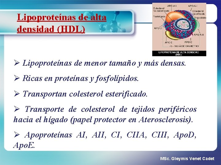 Lipoproteínas de alta densidad (HDL) Ø Lipoproteínas de menor tamaño y más densas. Ø