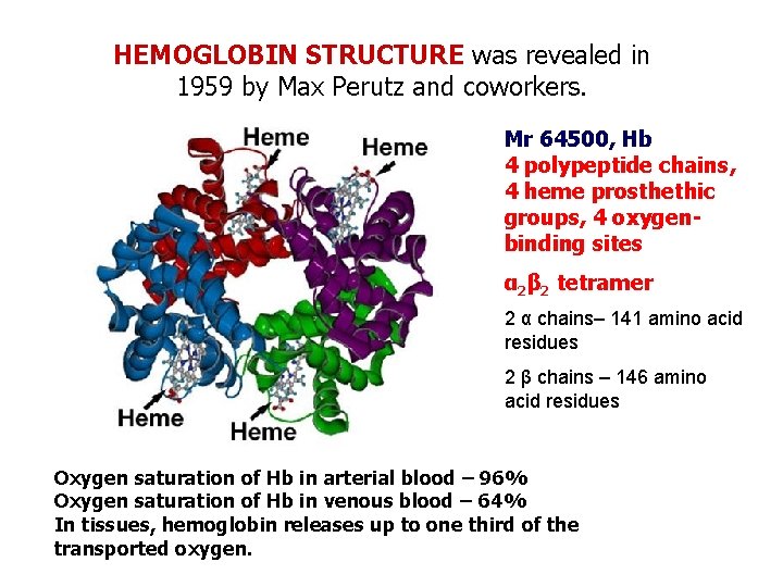 HEMOGLOBIN STRUCTURE was revealed in 1959 by Max Perutz and coworkers. Mr 64500, Hb