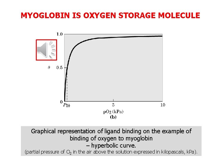 MYOGLOBIN IS OXYGEN STORAGE MOLECULE Graphical representation of ligand binding on the example of