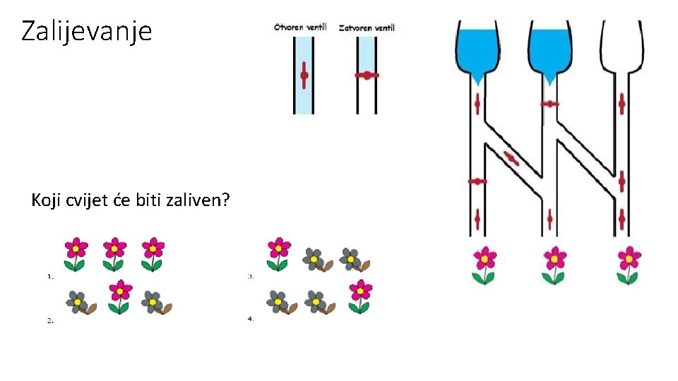 Zalijevanje Koji cvijet će biti zaliven? 