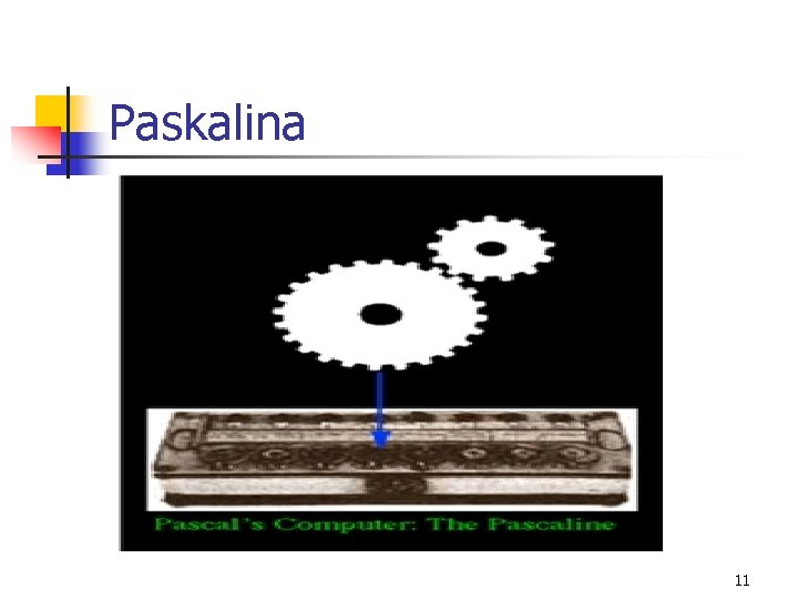 Paskalina 11 