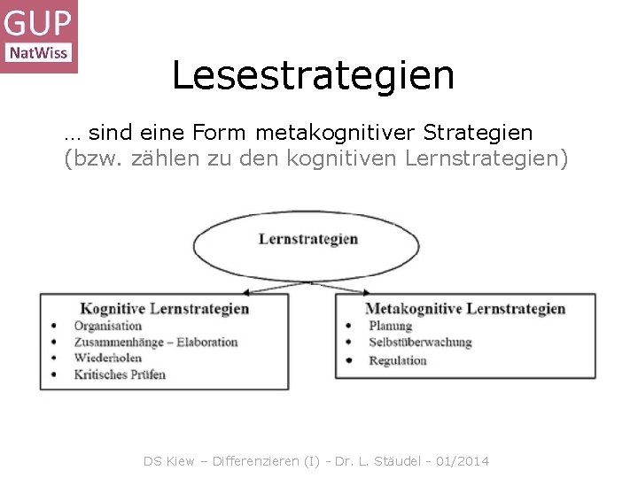 Lesestrategien … sind eine Form metakognitiver Strategien (bzw. zählen zu den kognitiven Lernstrategien) DS