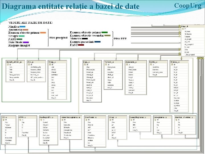 Diagrama entitate relaţie a bazei de date www. automation. ro/coopurg Coop. Urg 18 