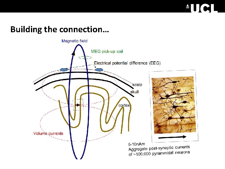 Building the connection… 