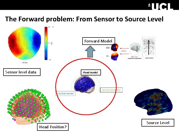 The Forward problem: From Sensor to Source Level Forward Model Sensor level data Head